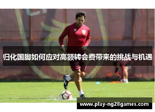归化国脚如何应对高额转会费带来的挑战与机遇